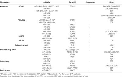 The Sensitivity Prediction of Neoadjuvant Chemotherapy for Gastric Cancer